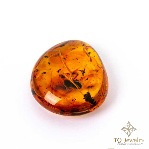 AMBER (HỔ PHÁCH)