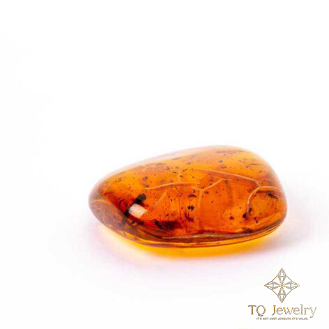 AMBER (HỔ PHÁCH)