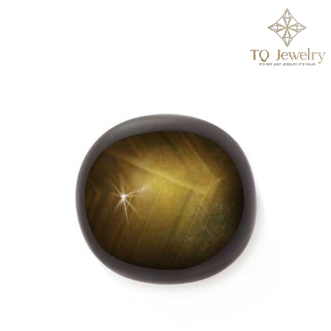 BLACK STAR SAPPHIRE (SAPPHIRE SAO ĐEN)