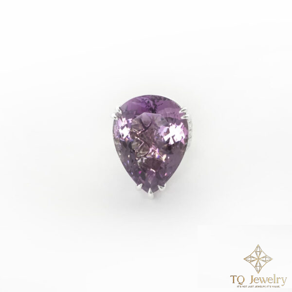 BỘ SƯU TẬP LAVENDINA