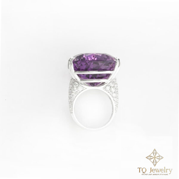 BỘ SƯU TẬP LAVENDINA